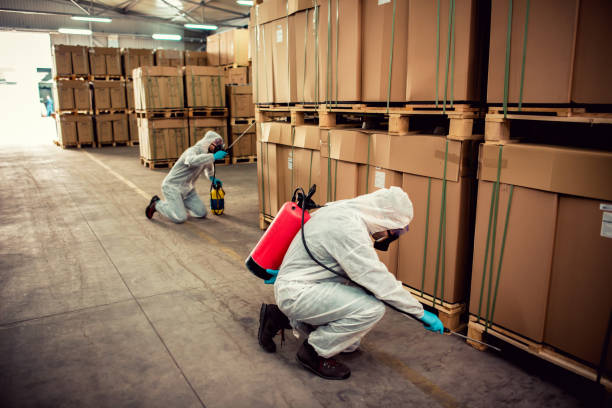 Best Pest Prevention Services  in Gravette, AR