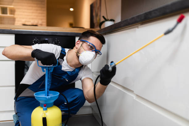 Best Wildlife Control Services  in Gravette, AR