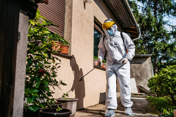 Best Pest Removal Services  in Gravette, AR