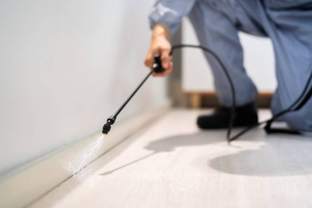 Flea Control Services in Gravette, AR