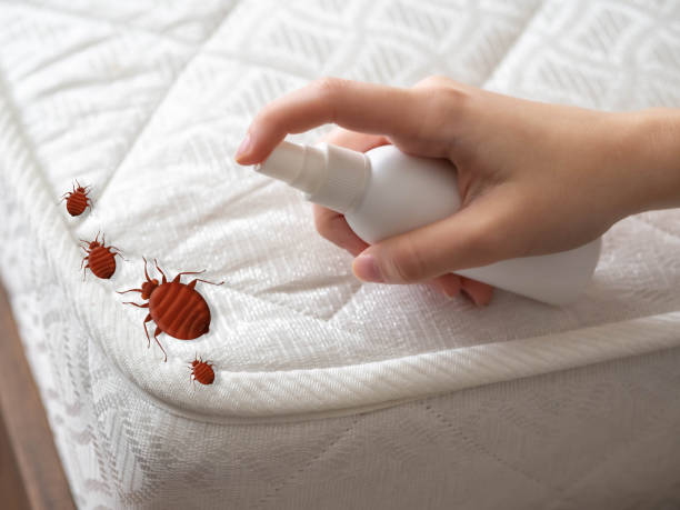 Best Local Pest Control Services  in Gravette, AR