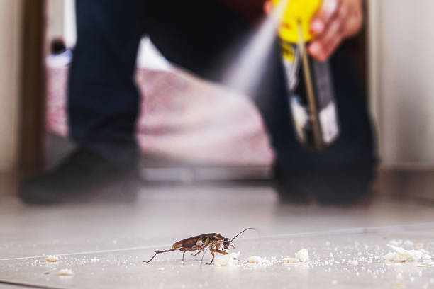 Best Residential Pest Control  in Gravette, AR